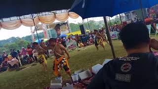 Festival  Jaran Kepang Turonggo Wahyu Santoso tws Ngaglik Sumowono