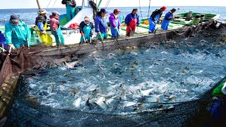 A Way For Fishermen To Catch Tuna Using Big Nets At Sea  Caught Hundred Tons Fish On The Boat #02