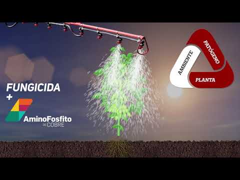 UBYFOL AMINOSFOFITO DE COBRE - 5LT