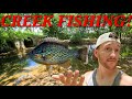 Creek fishing to stock the pond!