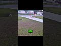 Kid got ATTACKED by a dog ! #shorts #trendingshorts #shortsfeed #animals #dog