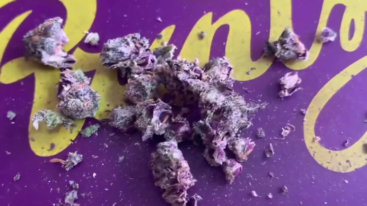 Gelato Mints - FloraCal Farms