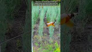 Creative Diy Plastic Bottle Scarecrow And Wind Direction Indicator