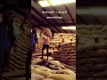 Gaon ke majdur ladhke🙂‍↕️👀 #sortvideo #funny #created #videos #youtubegood