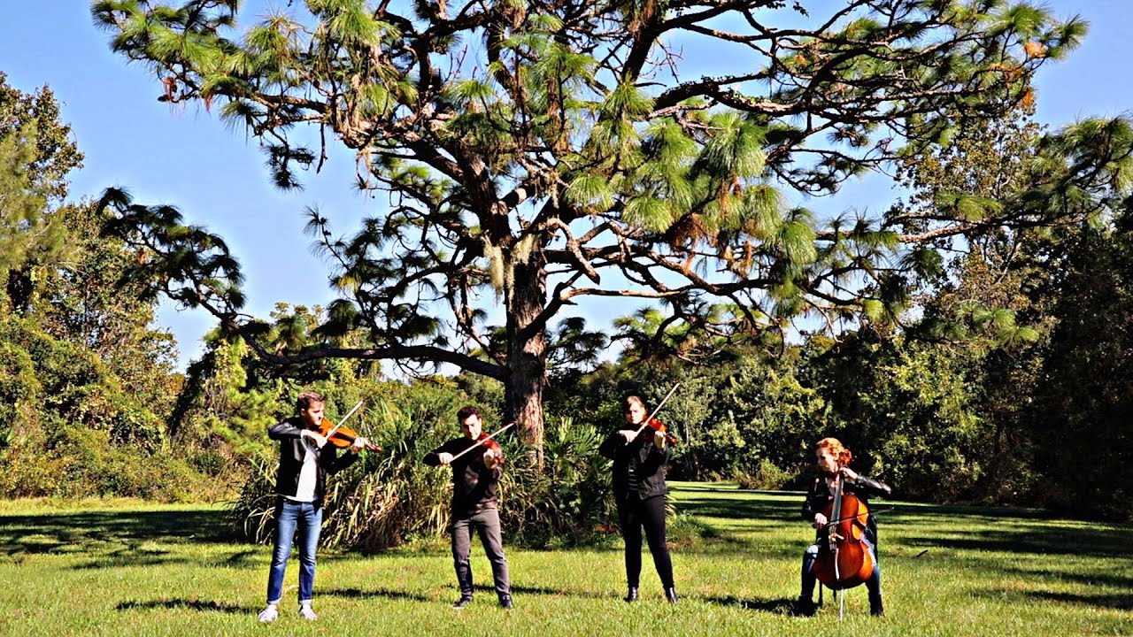 When The Party's Over - Billie Eilish (string quartet cover) - Classern Quartet