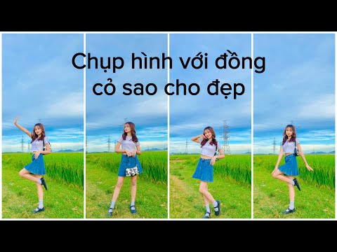 Video Dáng chụp ảnh đẹp với cánh đồng lúa - youtube