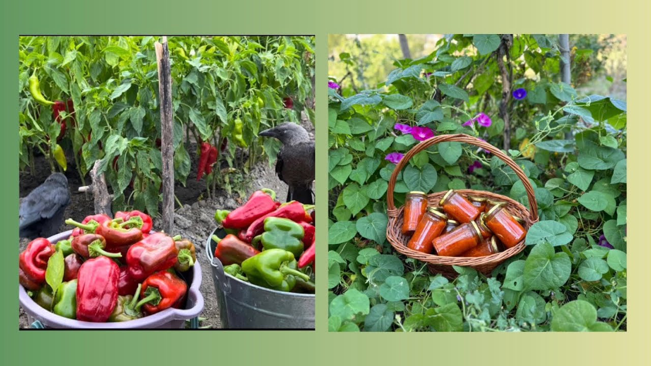 Селска лютеница - Bulgarian traditional dish - Lyutenitsa