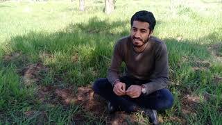 Arjen Arî - Hêvî