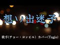 【カラオケ】カラオケ想いで迷子/チョー・ヨンピル(カバー by Rumiko Kuwabara)