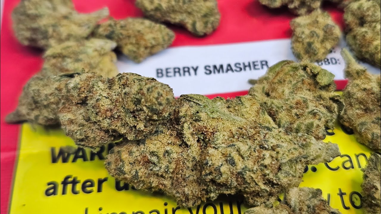 Strain Review Berry Smasher (Lemon Berry Cookies) By Muskoka Grown