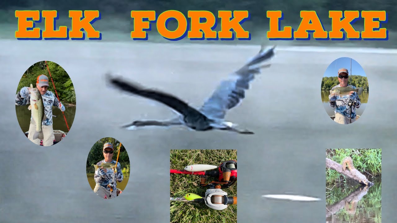 Elk Fork Lake, catching bass on topwater and squarebill crankbaits. 9/4/23