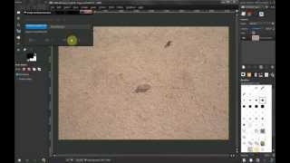 Celebrity GIMP tutorial: How to remove object from your photograph using heal selection and healing tool Net Worth