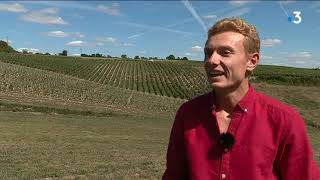 Vignoble Sarthois : Le pari 'Château Bénéhard'