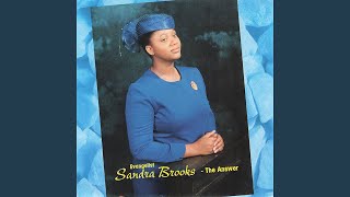 Never Give Up - Sandra Brooks
