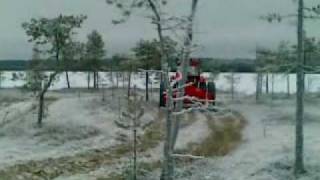 Polentaa.mp4