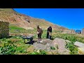 Journey to Sardsir: hard work and love in nomadic life