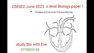ZIMSEC June 2023, Biology paper 1, Solved Full paper screenshot 3
