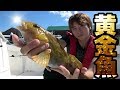 北海道の海で釣りしたらとにかく色んな魚が釣れた！【爆釣回】