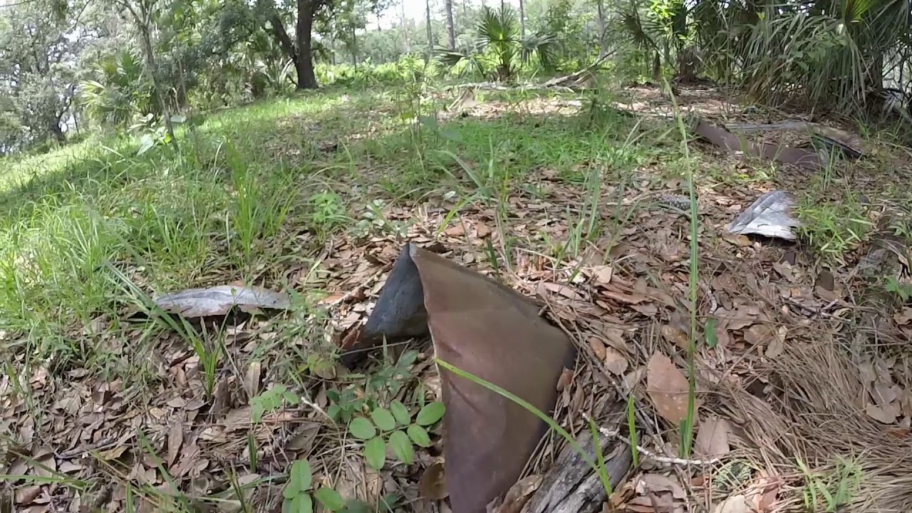 Old Homestead Sites at Triple N Ranch Wildlife Management Area YouTube