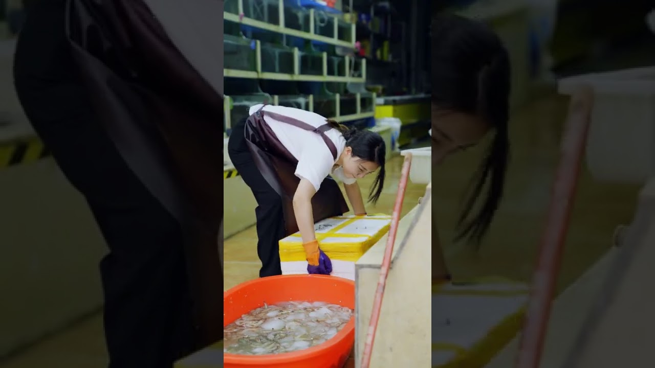 我不眼红你的富有，你也别嘲笑我的平凡