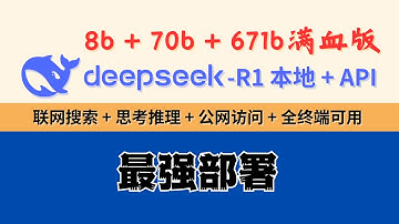 DeepSeek-R1本地+API最强部署，8b+70b+671b满血版！联网搜索+公网访问+思考推理+全终端可用！Ollama+OpenWebUI