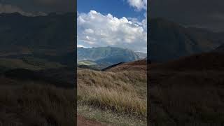 Moos Cab Liaj Qhua 4/5/26
