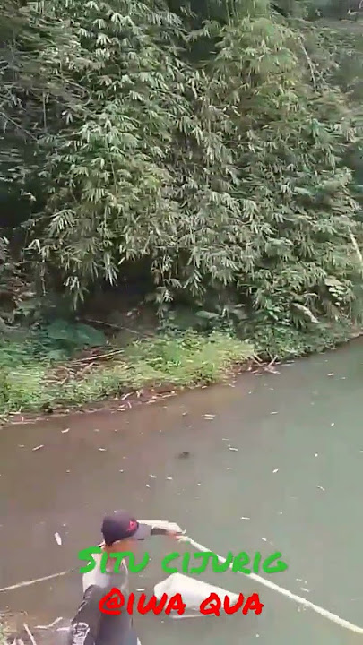 @iwa qua SITU CIJURIG