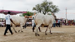 మాందాపురం సీనియర్ విభాగం బండలాగుడు పోటీలు 4వ జత Pr మెమోరియల్ 2