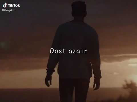 Pulu  olanda Dostun olur  Pul azalır Dost azalır        ilkagrim  keşfet  tiktokMP4