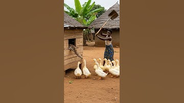 Can a Farmer Save Her Ducks from a Giant Python Attack?