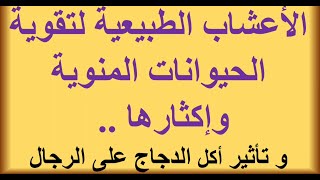 6 فيتامينات لزيادة عدد الحيوانات المنوية و زيادة قدرتها