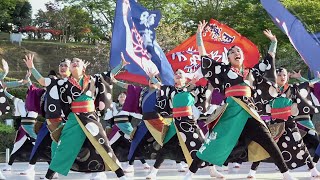 雅華組 1部演舞曲『鼓動』~2023八重桜まつり~静峰ふるさと公園 2023/04/23