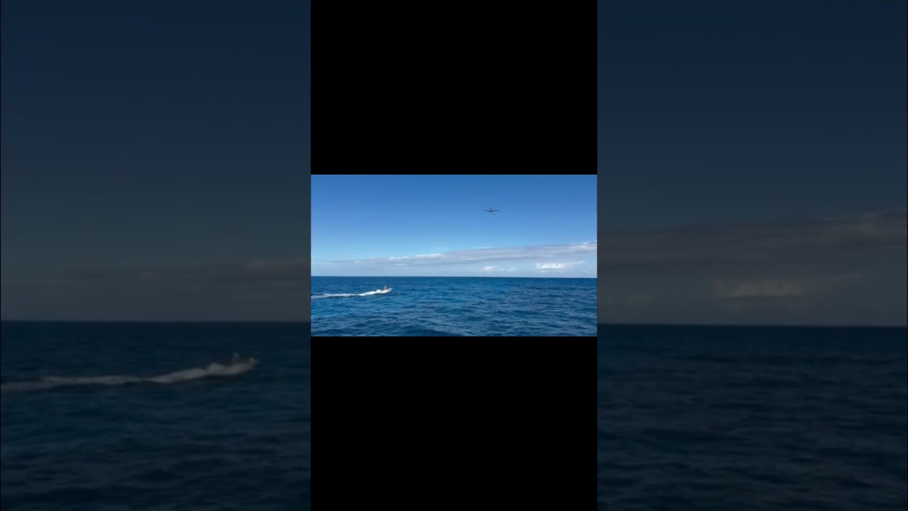 The hellhounds are off the leash! 😎 ⚓  