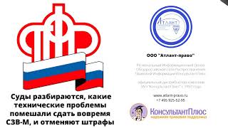 Суды разбираются, какие технические проблемы помешали сдать вовремя СЗВ М, и отменяют штрафы screenshot 5