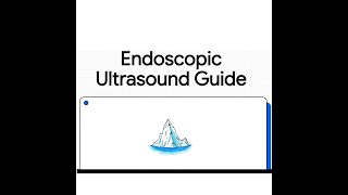 Endoscopic Ultrasound (EUS) Guide | Comprehensive Overview for Clinicians and Trainees