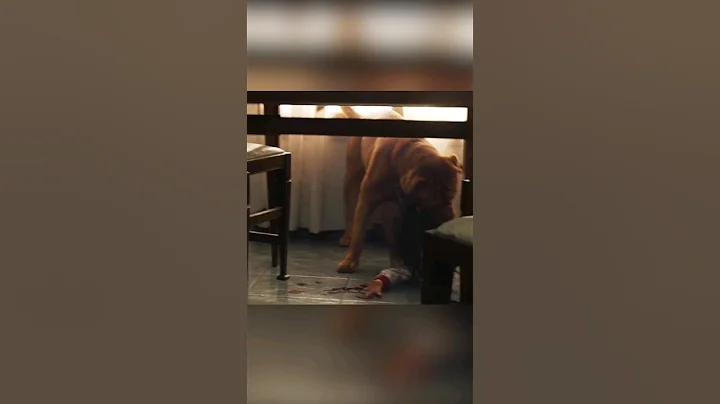 An Evil Spirit Enters The Dog | #shorts #viral #movie #cinemarecap #movierecap #recap