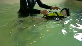 Badespass Im Hundepool