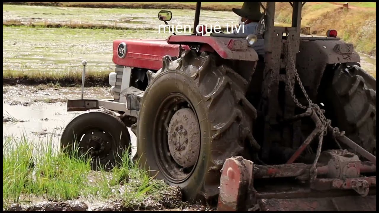 Máy cày mf 185.sieu rẻ. cày xới hiệu quả.