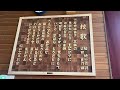 葛飾区立葛飾小学校・校歌/Everly