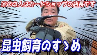 【昆虫好き必見!!】世界におよそ3,000種！？簡単な飼育の心得、伝えます！