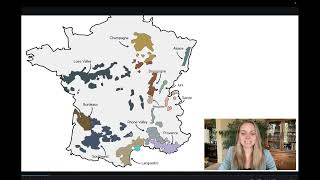 The Wines of Rhone Valley: Quick Class