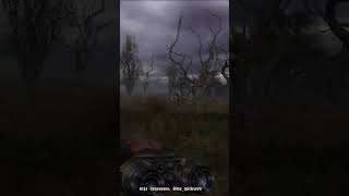 stalker форест гамп