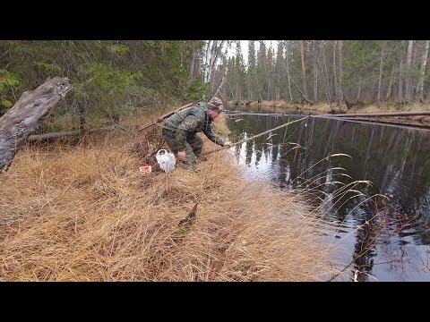 ЖИЗНЬ В ТАЙГЕ. ДОБЫЛ МЯСА. СТАВЛЮ ЖЕРЛИЦЫ НА ТАЁЖНОЙ РЕКЕ. ХИЖИНА ОХОТНИКА В ГЛУХОМ МЕСТЕ.