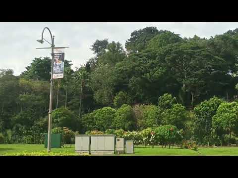 FORT CANING PARK #trending #viral #park