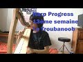 Harp adult beginner progress 13semainesgreensleevestri martolodun elfe dans les boispink floyd