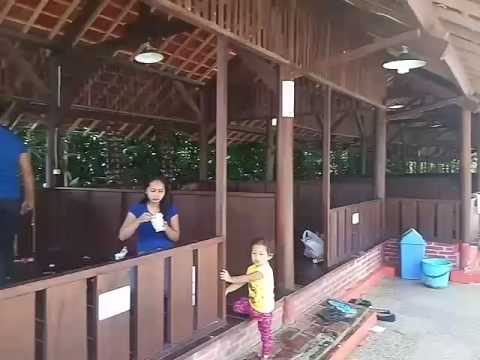 Waterboom 88 Bululawang Youtube