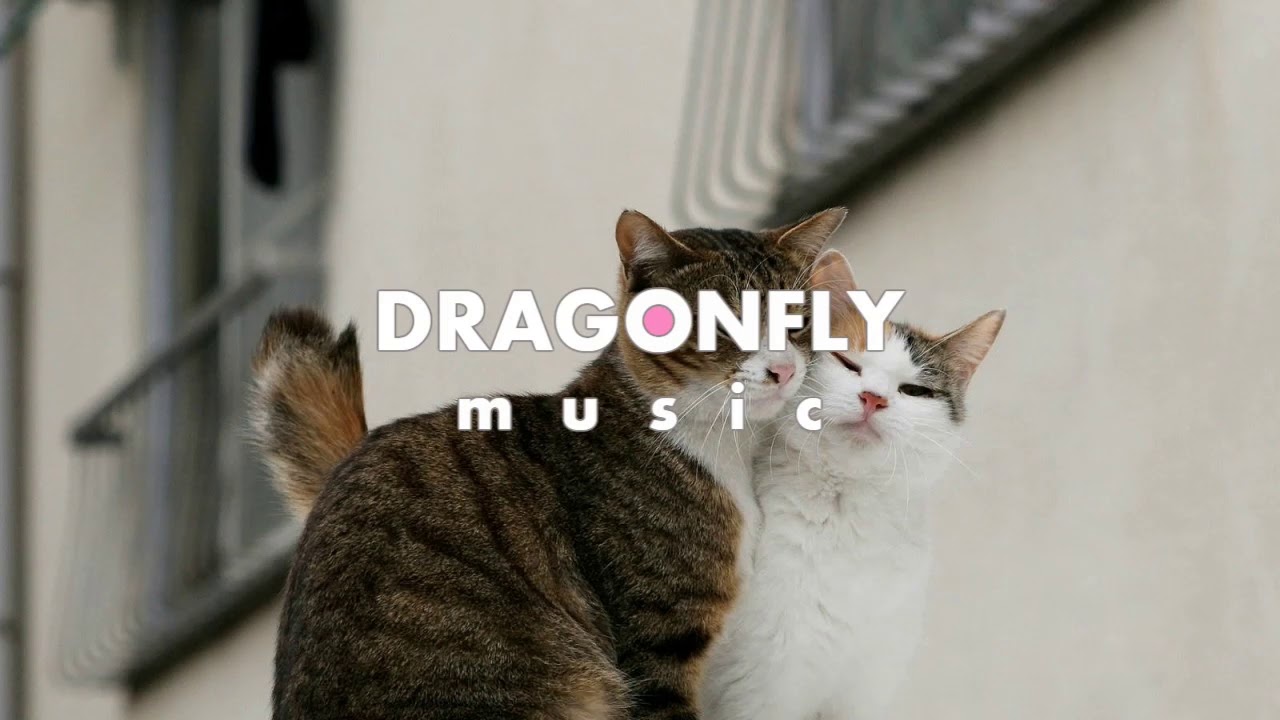 Peyruis - Swing | 1 Hour Version