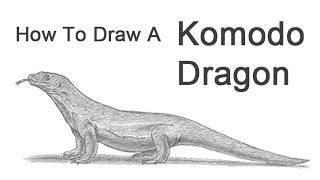 Visit http://www.how2drawanimals.com or my channel for more animal
drawing tutorials and don't forget to pause the video after each step
draw at your own ...