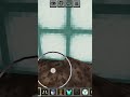 please subscribe