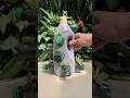 #diy ♻️ Transformei GARRAFA de amaciante em um JARDIM PORTÁTIL! #reciclagem #suculentas #garrafapet